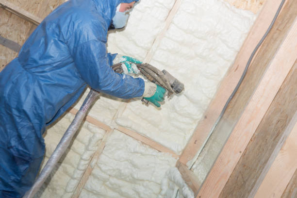 Best Insulation Air Sealing  in Mason City, IA