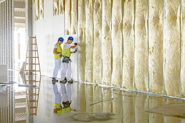 Best Insulation for New Construction  in Mason City, IA